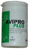 Sickness, Illness and Disease - The correct quantity of Avipro Plus can be added to a chinchilla's water system on a daily basis.