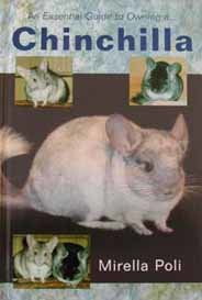 An Essential Guide to Owning a Chinchilla