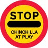 Chinchilla Exercise - Make sure everyone in your household knows when your chinchilla is out to play.