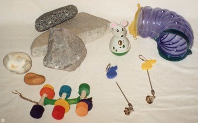 Chinchilla Toys And Accessories Chinchilla Chronicles,Banana Flower
