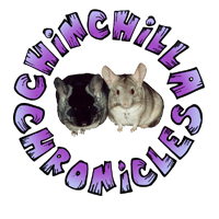 Chinchilla Chronicles - Home to Chinchilla Care and Education.