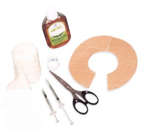 Chinchilla Health - Some examples for a Chinchilla First Aid Kit - gentle antiseptic lotion, cardboard collar, bandage, tape, scissors, syringe for feeding.