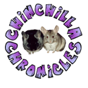 Chinchilla Chronicles - Home to Chinchilla Care & Education